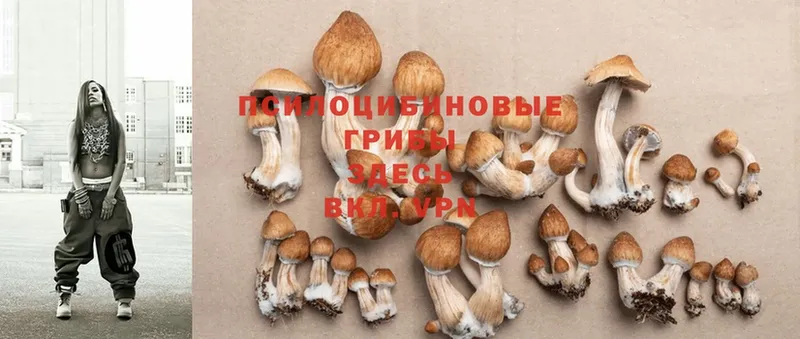 Псилоцибиновые грибы Psilocybine cubensis  OMG маркетплейс  Нефтеюганск  где купить наркотик 